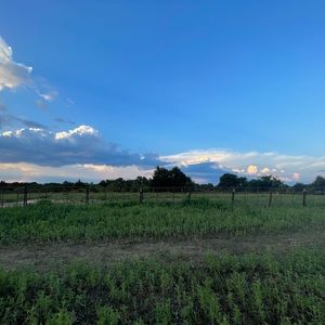 Meet your Posher, ꧁fruity•ᴥ•gacha꧂